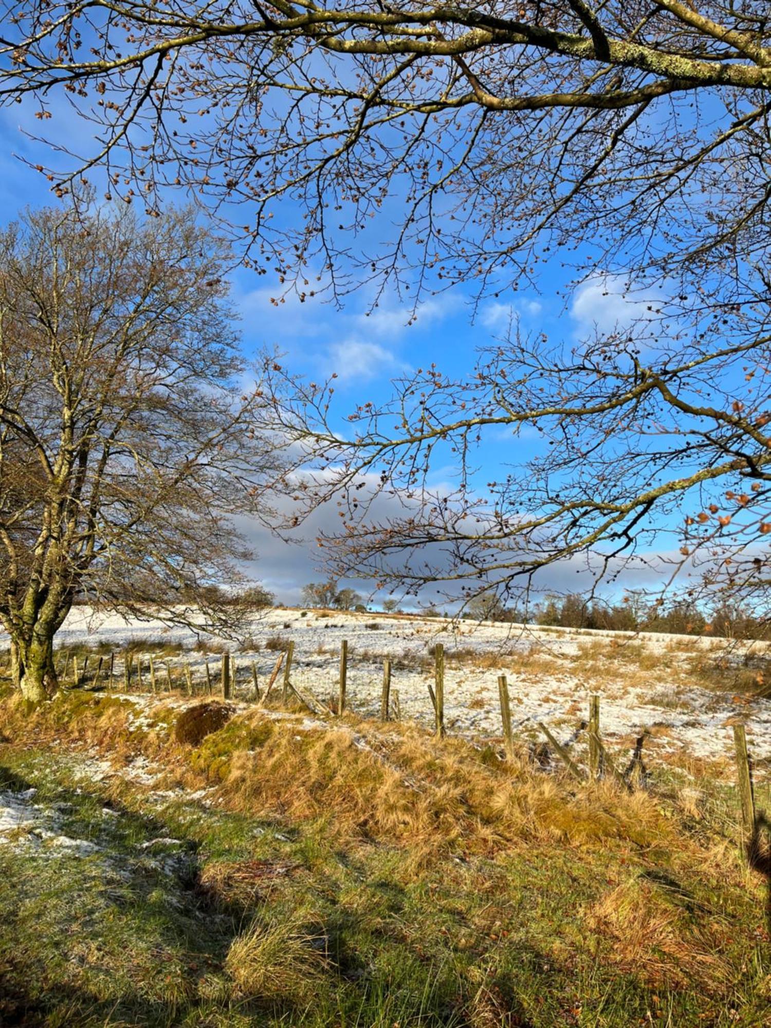 Stoneymollan Over Loch Lomond Balloch Ngoại thất bức ảnh