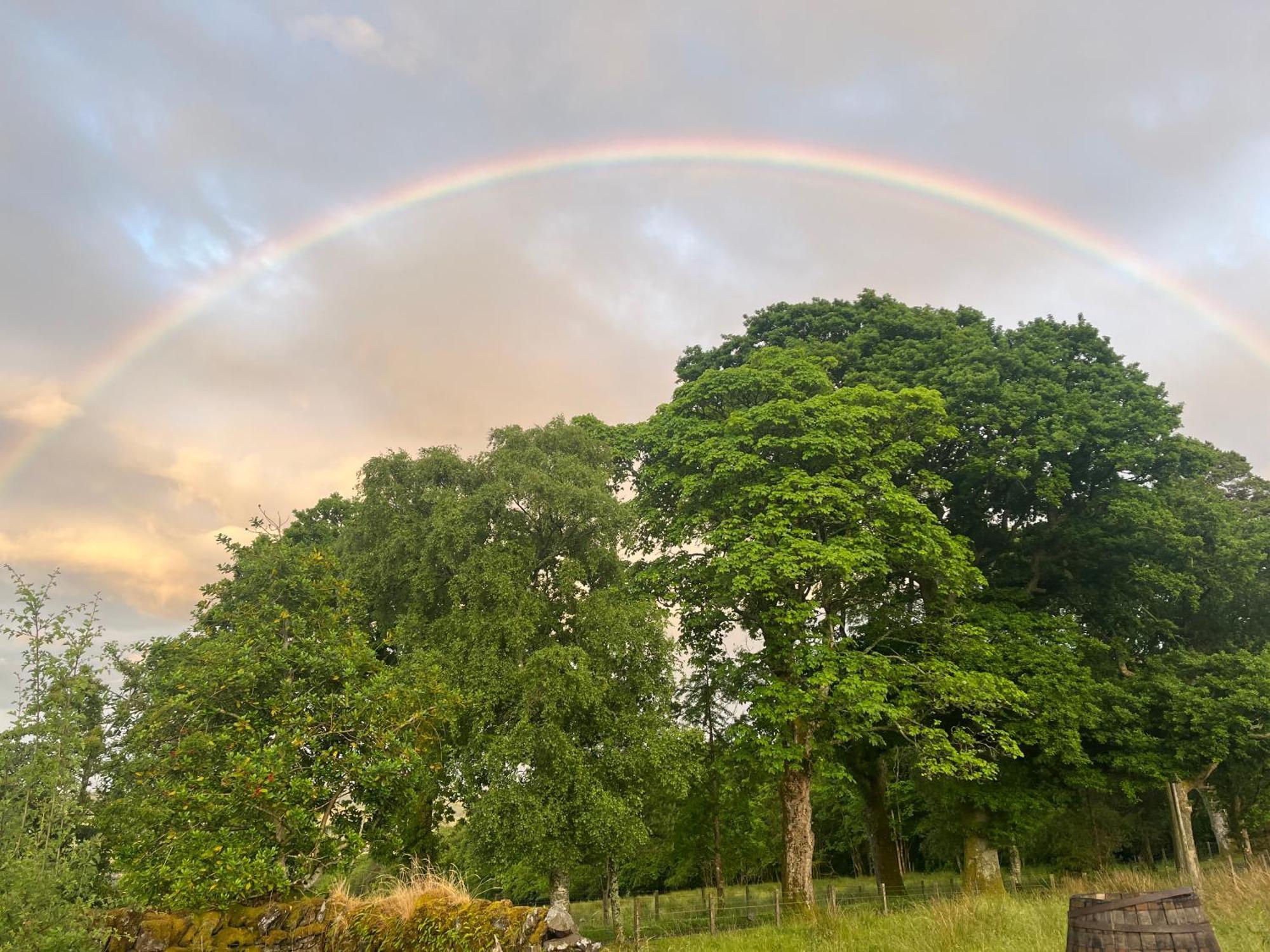 Stoneymollan Over Loch Lomond Balloch Ngoại thất bức ảnh