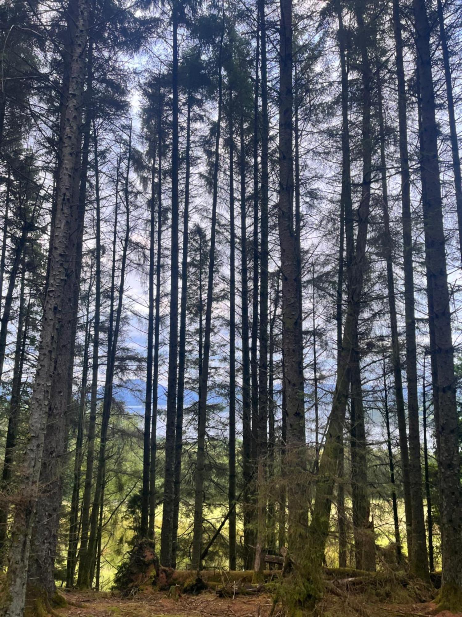 Stoneymollan Over Loch Lomond Balloch Ngoại thất bức ảnh