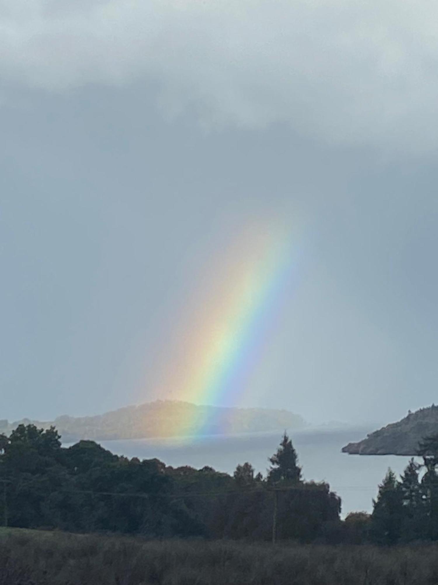 Stoneymollan Over Loch Lomond Balloch Ngoại thất bức ảnh