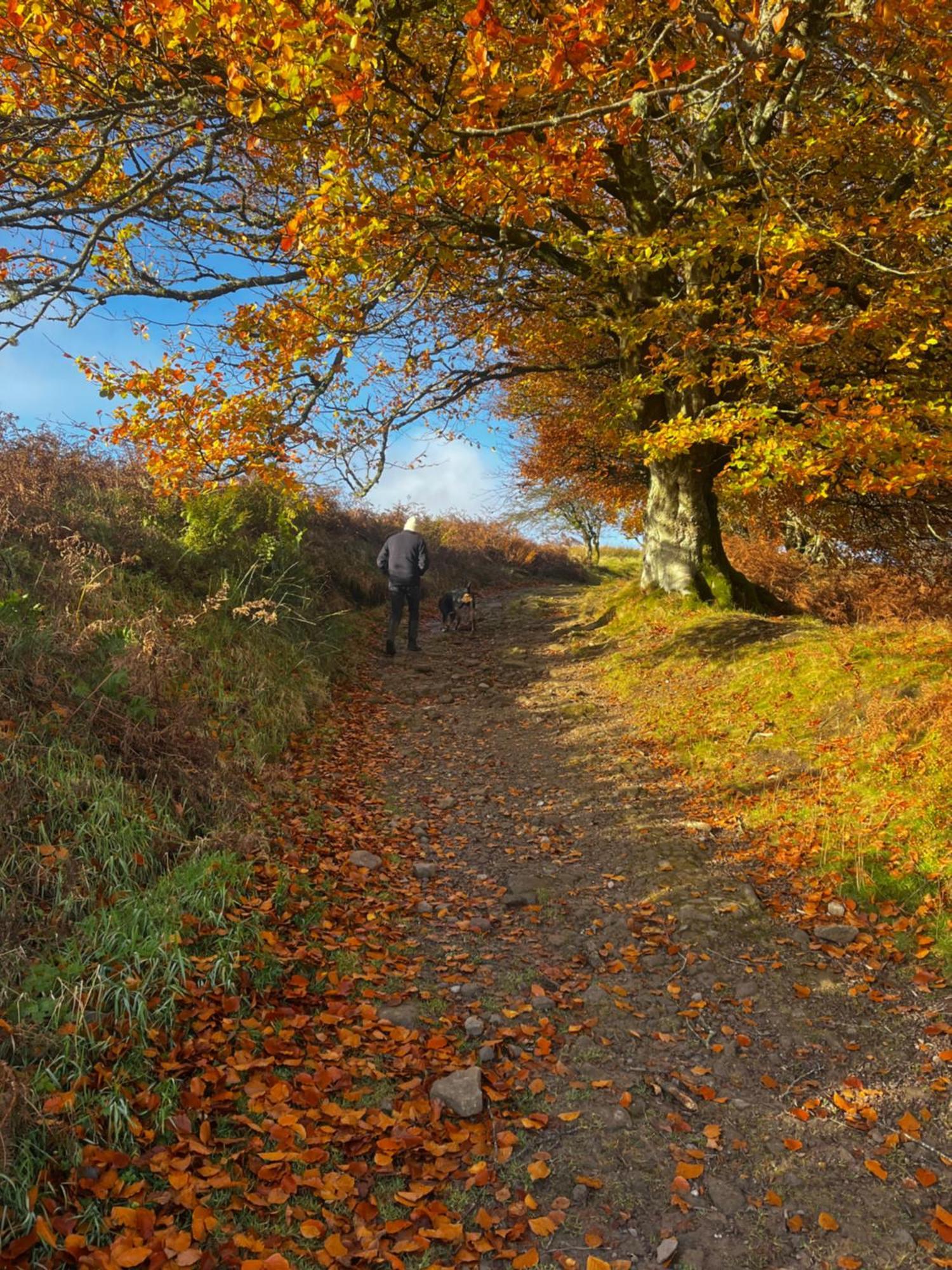 Stoneymollan Over Loch Lomond Balloch Ngoại thất bức ảnh